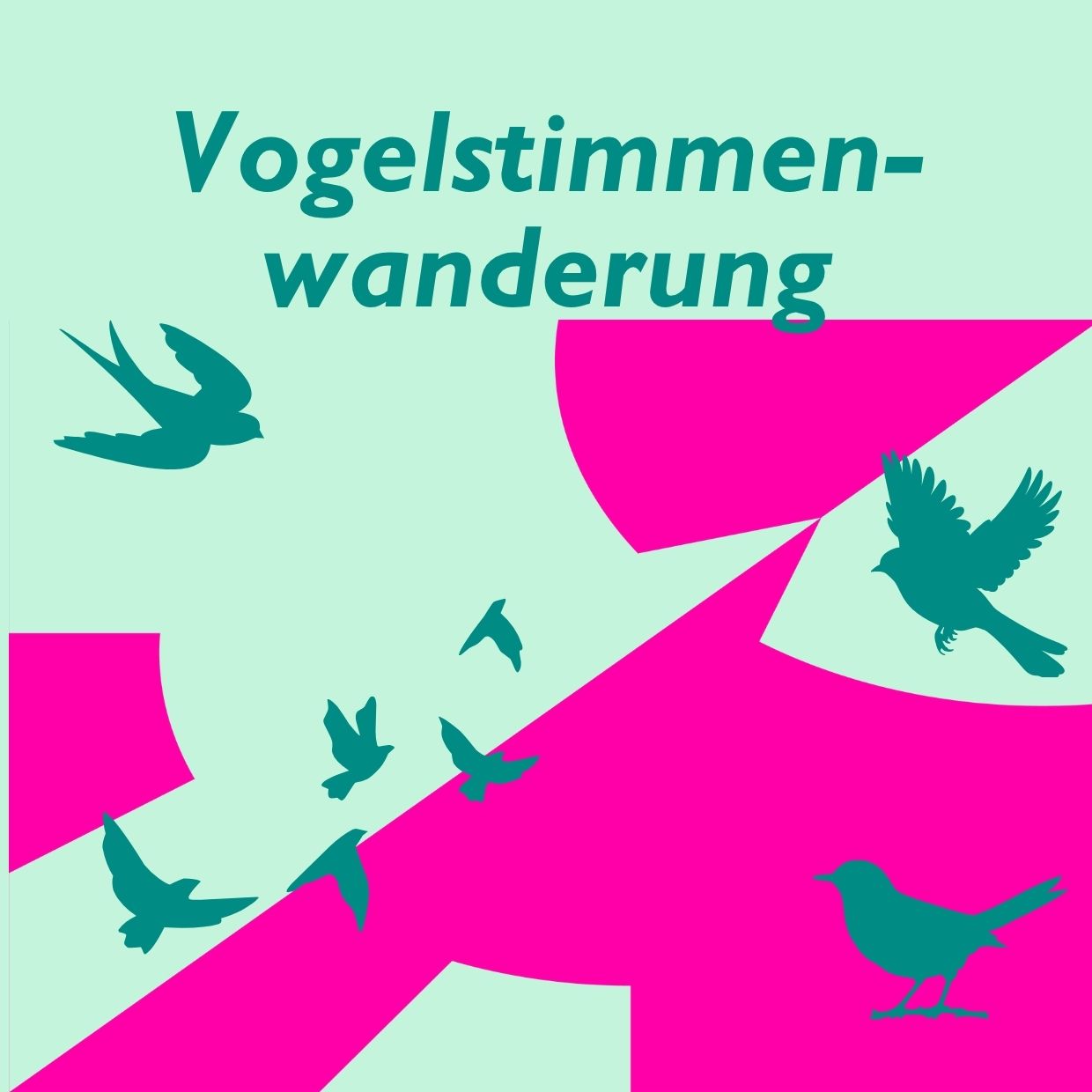 Vogelstimmenwanderung